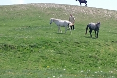 31855650_343468059508809_5889152409158025216_n