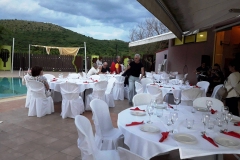 33767049_556612924738936_1100303400702050304_n