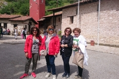 31530503_343470729508542_4467977958891454464_n