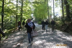 Μπραν - Παλάτι Καρόλου