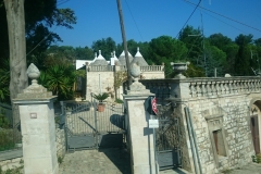 44382241_318975648887780_5318248567146545152_n