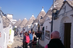 44465544_712186169137581_8005719490992013312_n