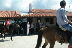 OLYMPUS DIGITAL CAMERA