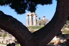 45294691_257986895063560_7848986444914753536_n