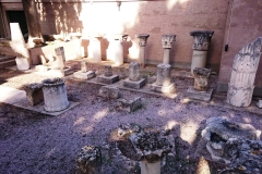 45561414_1783941118394673_8845253849238208512_n