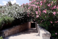 33786481_556871794713049_5486851202022899712_n