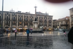 44686425_543211092758821_1891728984157192192_n