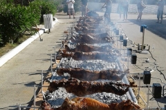 IMG-54b16eade2a31895f672aefa33fe773f-V