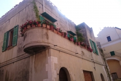 44509535_539977233139598_886884126416699392_n