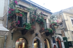 44576941_283979605779284_5936654451099041792_n