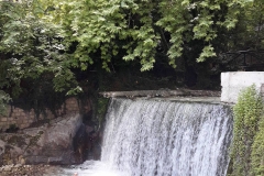 33686733_556614131405482_9184460517916278784_n