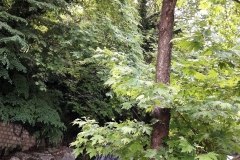 33902507_556615421405353_2101683306461396992_n