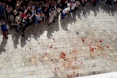 VideoCapture_20190507-154431