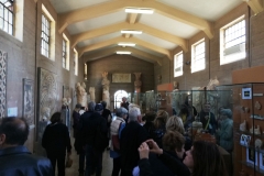 IMG_20181104_103102_resized_20181104_080632843