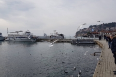 28343288_1623495007686157_917402460_o