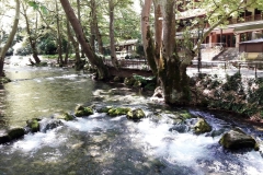 33619930_556612291405666_244756644167155712_n