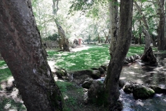 33653475_556612398072322_3588676751854665728_n