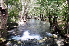 33720379_556612161405679_1409235493450678272_n