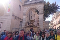 44495297_178356299713294_3511457874142298112_n