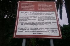 44522668_1335414219929424_5102413927807975424_n