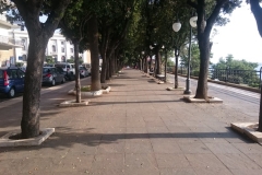 44576964_112072376364932_6482327962996703232_n