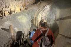 εικόνα_Viber_2025-05-15_00-56-10-192