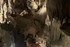 εικόνα_Viber_2025-05-15_00-56-10-380