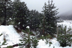 Από το χειμωνιάτικο Μέτσοβο