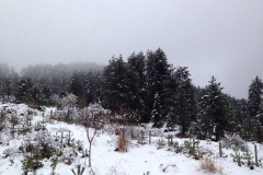 Από το χειμωνιάτικο Μέτσοβο