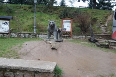 Από το χειμωνιάτικο Μέτσοβο