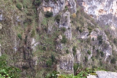 Χαράδρα Βίκου