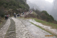 Χαράδρα Βίκου