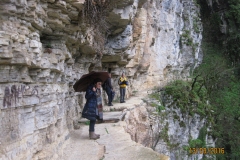 Χαράδρα Βίκου