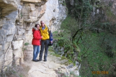 Χαράδρα Βίκου