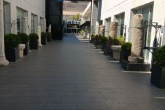 εικόνα_Viber_2024-09-28_22-54-27-228