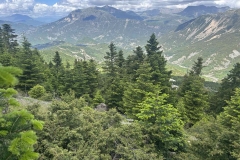 εικόνα_Viber_2025-05-15_07-59-02-202