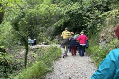 εικόνα_Viber_2025-05-15_09-49-09-447