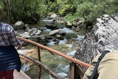 εικόνα_Viber_2025-05-15_09-49-11-296