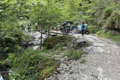 εικόνα_Viber_2025-05-15_09-49-11-485