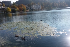 Λίμνη Μπλεντ- Σλοβενία