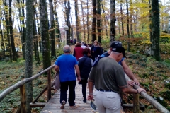 Λίμνες Πλίτβιτσε - Κροατία