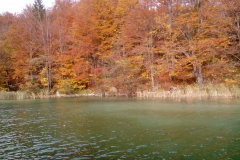 Λίμνες Πλίτβιτσε - Κροατία