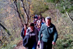 Λίμνες Πλίτβιτσε - Κροατία