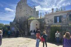 εικόνα_Viber_2025-05-09_10-33-45-339