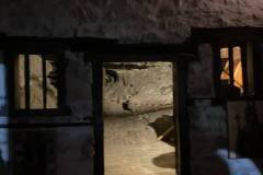 fcd87bba-67f4-4b55-8192-b4ac36853876