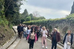 εικόνα_Viber_2026-04-14_02-13-07-588