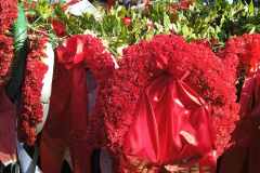 εικόνα_Viber_2025-11-16_14-02-04-865