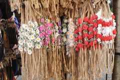 εικόνα_Viber_2023-11-02_17-46-58-941